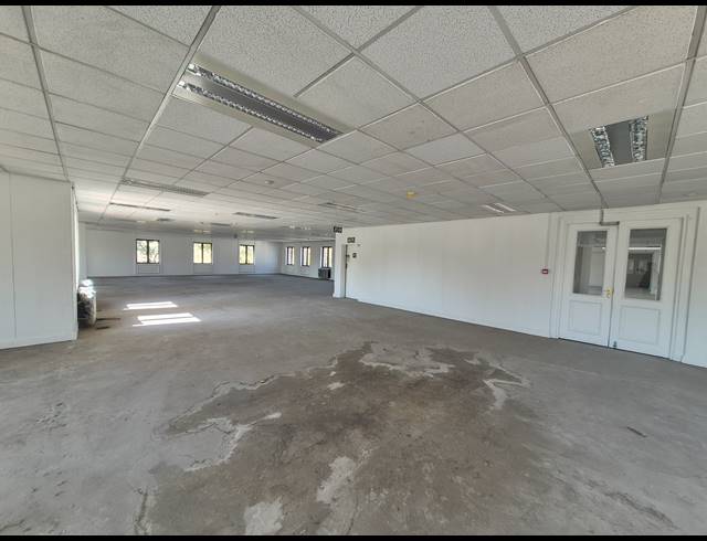 3,730M² OFFICE TO LET IN SANDTON CENTRAL